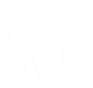 white cat icon