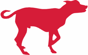 red medium dog pointing icon