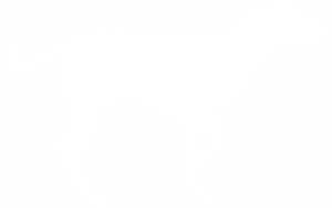 white medium dog pointing icon