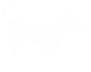 white medium dog icon