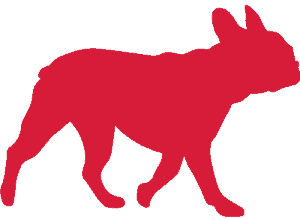 red pug icon walking