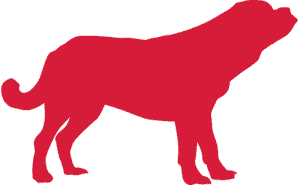 red large dog icon