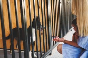A woman and child visiting a dog in a shelter.